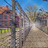 Obrazek:  Miejsce Pamięci i Muzeum Auschwitz-Birkenau Oświęcim 