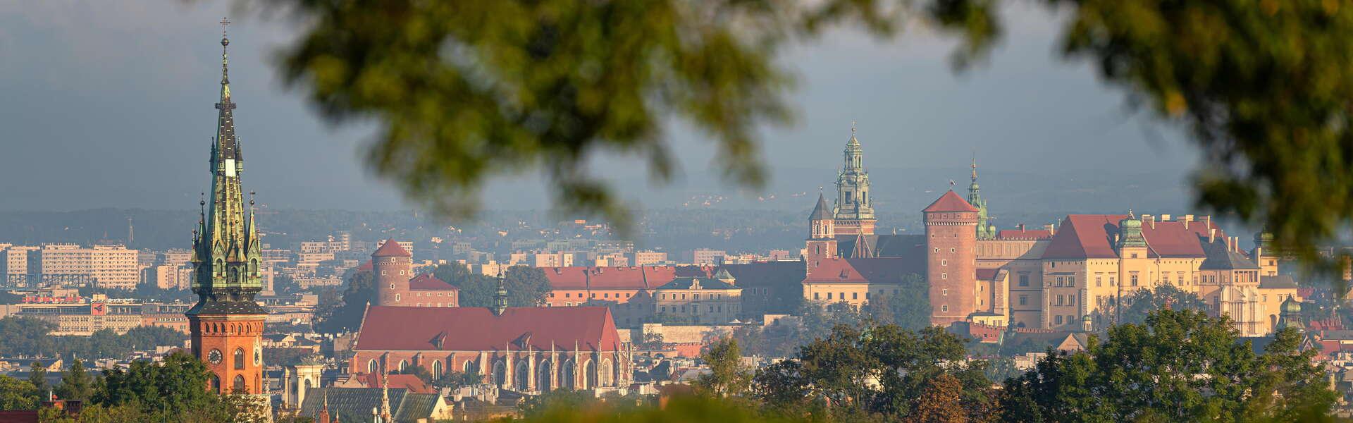 Widok z Kopca Kraka na stare miasto. Widoczne wieże kościołów, Wawel i charakterystyczne budynki Krakowa. Wokół zielone gałązki drzew.