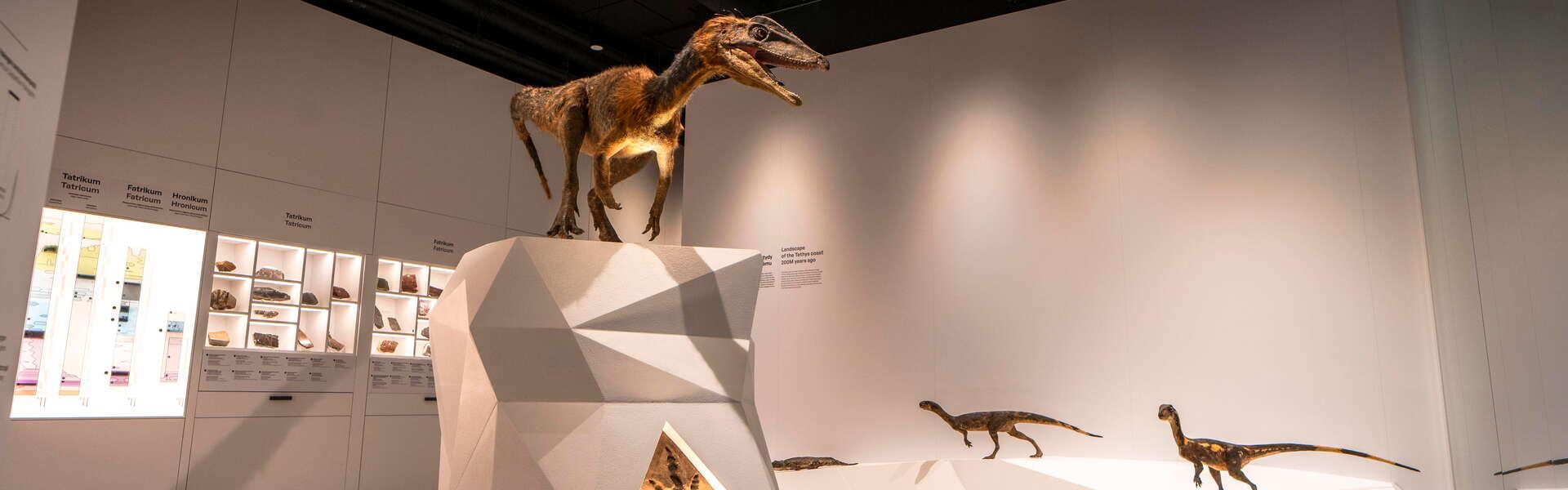 Rzeźba dinozaura postawiona na podwyższeniu. Po prawej mniejsze dinozaura. Na ścianie po lewej na pólkach ułożone różne formy skalne.